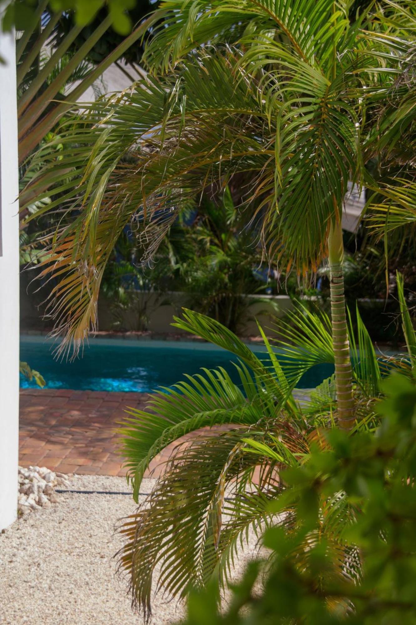 Major. Suites Curacao Willemstad Exterior photo